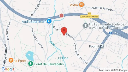 Apartments for rent i Lausanne - kort over placeringen