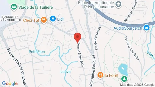 Apartments for rent i Lausanne - kort over placeringen