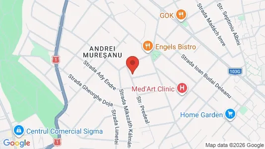 Apartments for rent i Cluj-Napoca - kort over placeringen