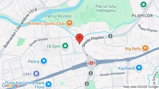 Apartments for rent i Cluj-Napoca - kort over placeringen
