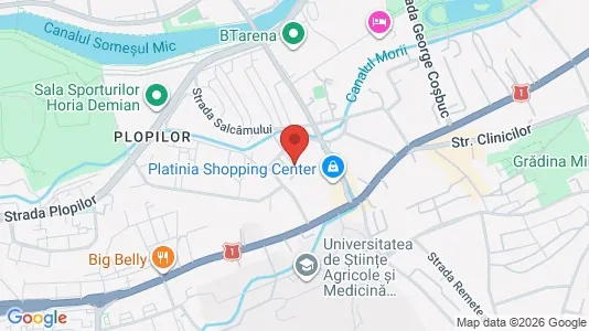 Apartments for rent i Cluj-Napoca - kort over placeringen