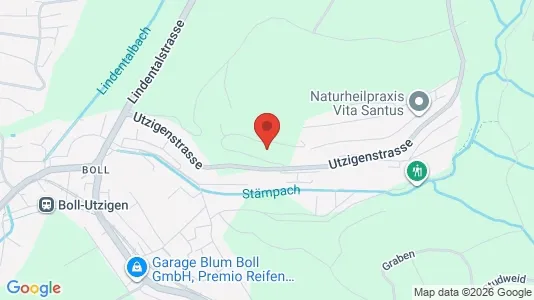 Apartments for rent i Bern-Mittelland - kort over placeringen