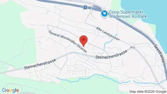Apartments for rent i Horgen - kort over placeringen