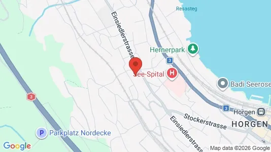 Apartments for rent i Horgen - kort over placeringen