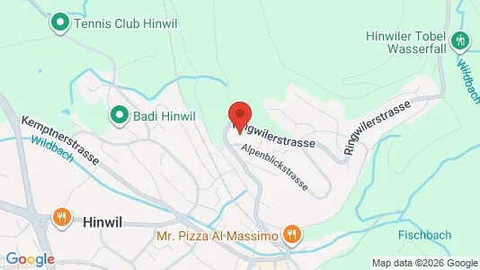 Apartments for rent i Hinwil - kort over placeringen
