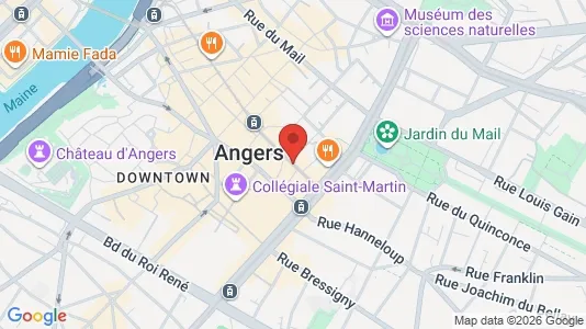Apartments for rent i Angers - kort over placeringen