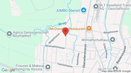 Apartments for rent i Arlesheim - kort over placeringen