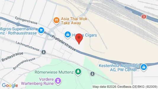 Apartments for rent i Arlesheim - kort over placeringen