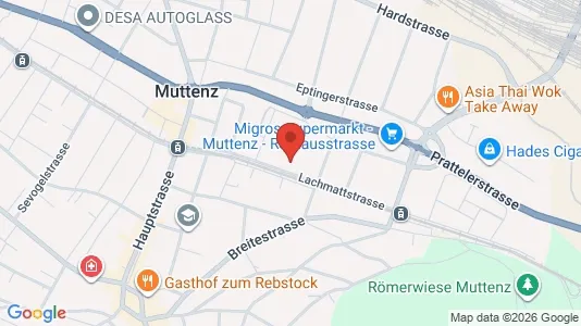 Apartments for rent i Arlesheim - kort over placeringen