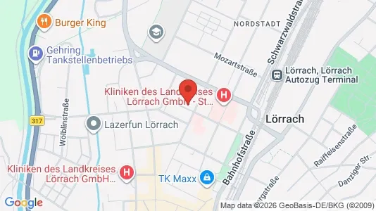 Apartments for rent i Lörrach - kort over placeringen