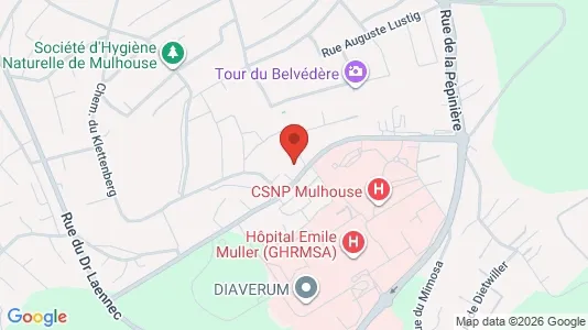 Apartments for rent i Mulhouse - kort over placeringen