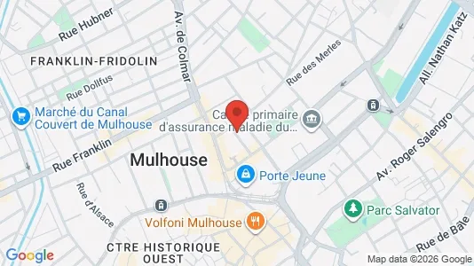 Apartments for rent i Mulhouse - kort over placeringen