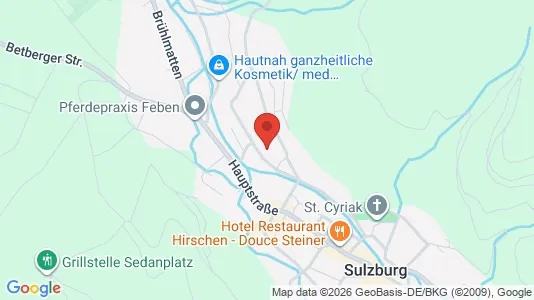 Apartments for rent i Breisgau-Hochschwarzwald - kort over placeringen