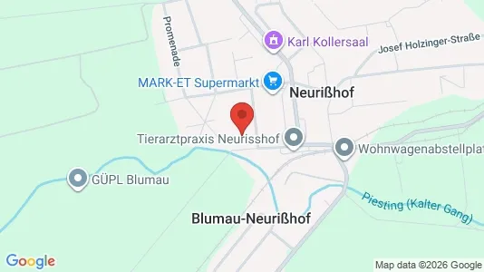 Apartments for rent i Blumau-Neurißhof - kort over placeringen