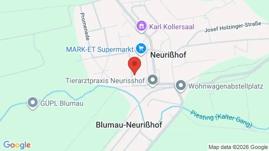 Apartments for rent i Blumau-Neurißhof - kort over placeringen