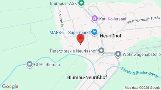 Apartments for rent i Blumau-Neurißhof - kort over placeringen