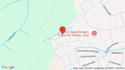 Apartments for rent i Tuttlingen - kort over placeringen
