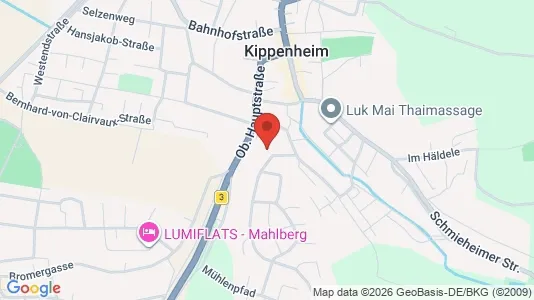 Apartments for rent i Ortenaukreis - kort over placeringen