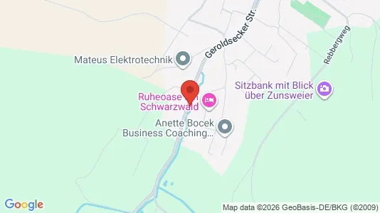 Apartments for rent i Ortenaukreis - kort over placeringen