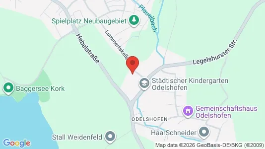 Apartments for rent i Ortenaukreis - kort over placeringen