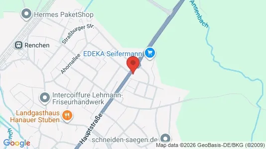 Apartments for rent i Ortenaukreis - kort over placeringen