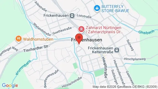 Apartments for rent i Esslingen - kort over placeringen