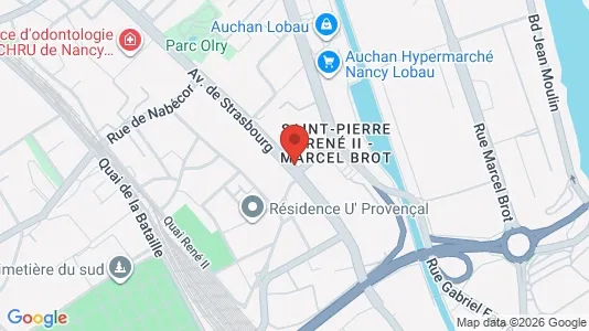 Apartments for rent i Nancy - kort over placeringen