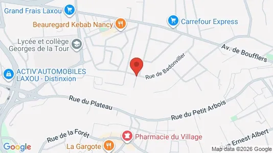 Apartments for rent i Nancy - kort over placeringen