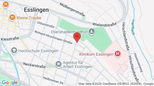 Rooms for rent i Esslingen - kort over placeringen