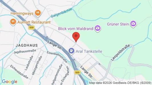Apartments for rent i Baden-Baden - kort over placeringen