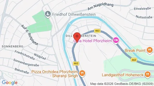 Apartments for rent i Pforzheim - kort over placeringen