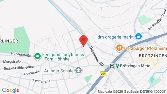 Apartments for rent i Pforzheim - kort over placeringen