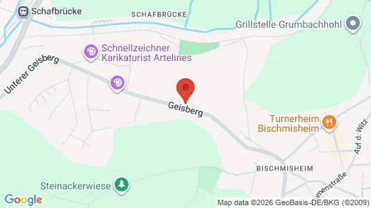 Rooms for rent i Saarbrücken - kort over placeringen