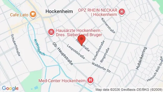 Apartments for rent i Rhein-Neckar-Kreis - kort over placeringen