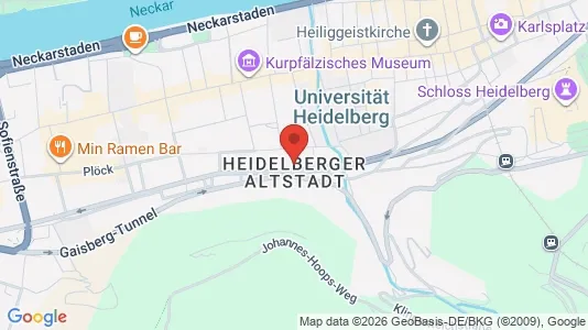 Apartments for rent i Heidelberg - kort over placeringen