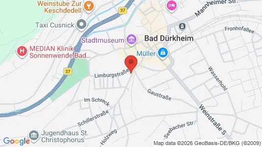 Apartments for rent i Bad Dürkheim - kort over placeringen