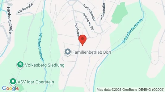 Apartments for rent i Birkenfeld - kort over placeringen