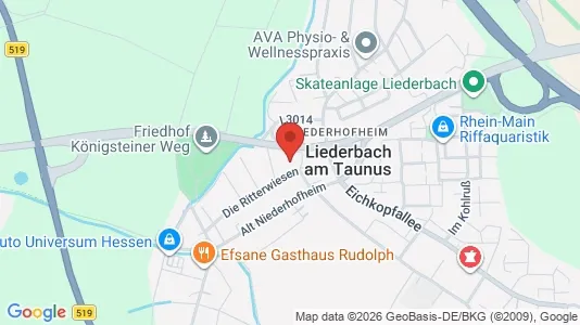 Apartments for rent i Main-Taunus-Kreis - kort over placeringen