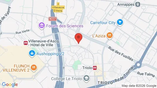 Apartments for rent i Lille - kort over placeringen