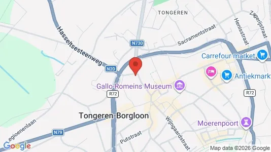 Apartments for rent i Tongeren - kort over placeringen