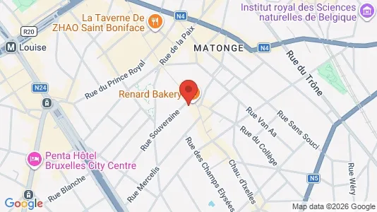 Apartments for rent i Brussels Elsene - kort over placeringen