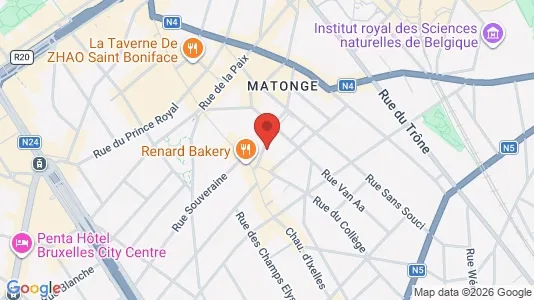 Apartments for rent i Brussels Elsene - kort over placeringen
