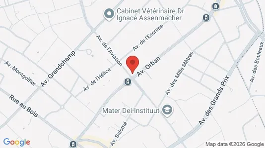 Apartments for rent i Brussels Sint-Pieters-Woluwe - kort over placeringen