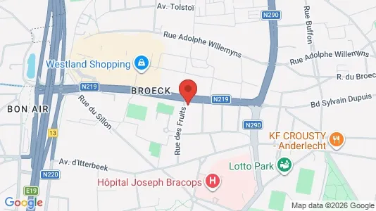 Apartments for rent i Brussels Anderlecht - kort over placeringen