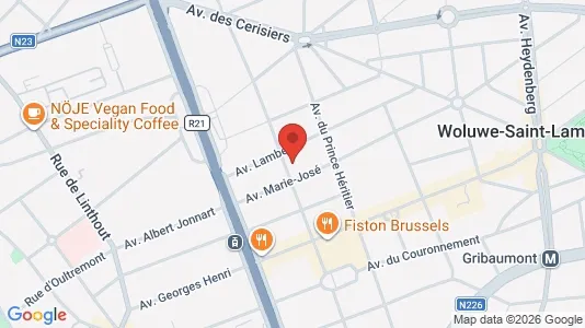 Apartments for rent i Brussels Sint-Lambrechts-Woluwe - kort over placeringen