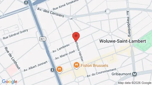 Apartments for rent i Brussels Sint-Lambrechts-Woluwe - kort over placeringen