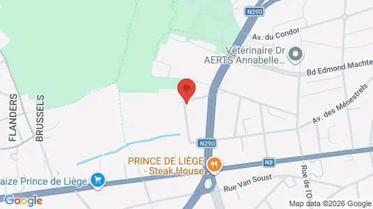 Apartments for rent i Brussels Sint-Jans-Molenbeek - kort over placeringen
