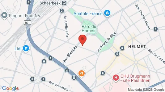 Apartments for rent i Brussels Schaarbeek - kort over placeringen
