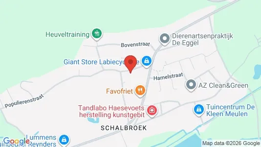 Apartments for rent i Lebbeke - kort over placeringen