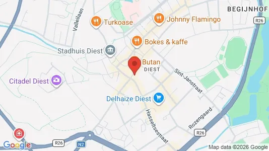 Apartments for rent i Diest - kort over placeringen